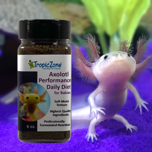 Best Axolotl Food