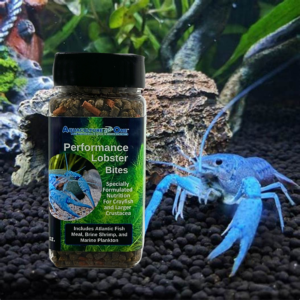 Aquaculture-One Lobster Bites