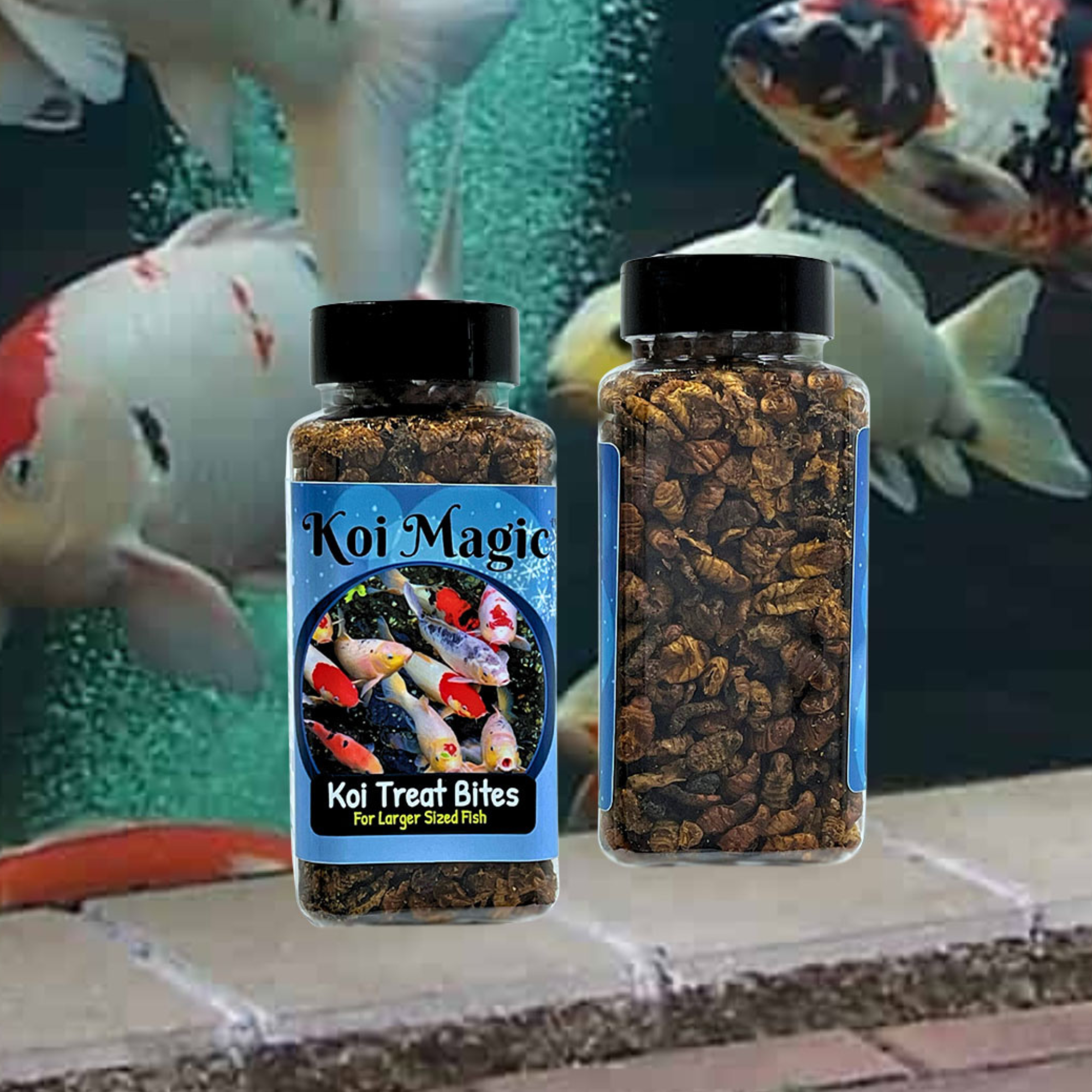 Aquaculture-One Koi Magic Treat Bites