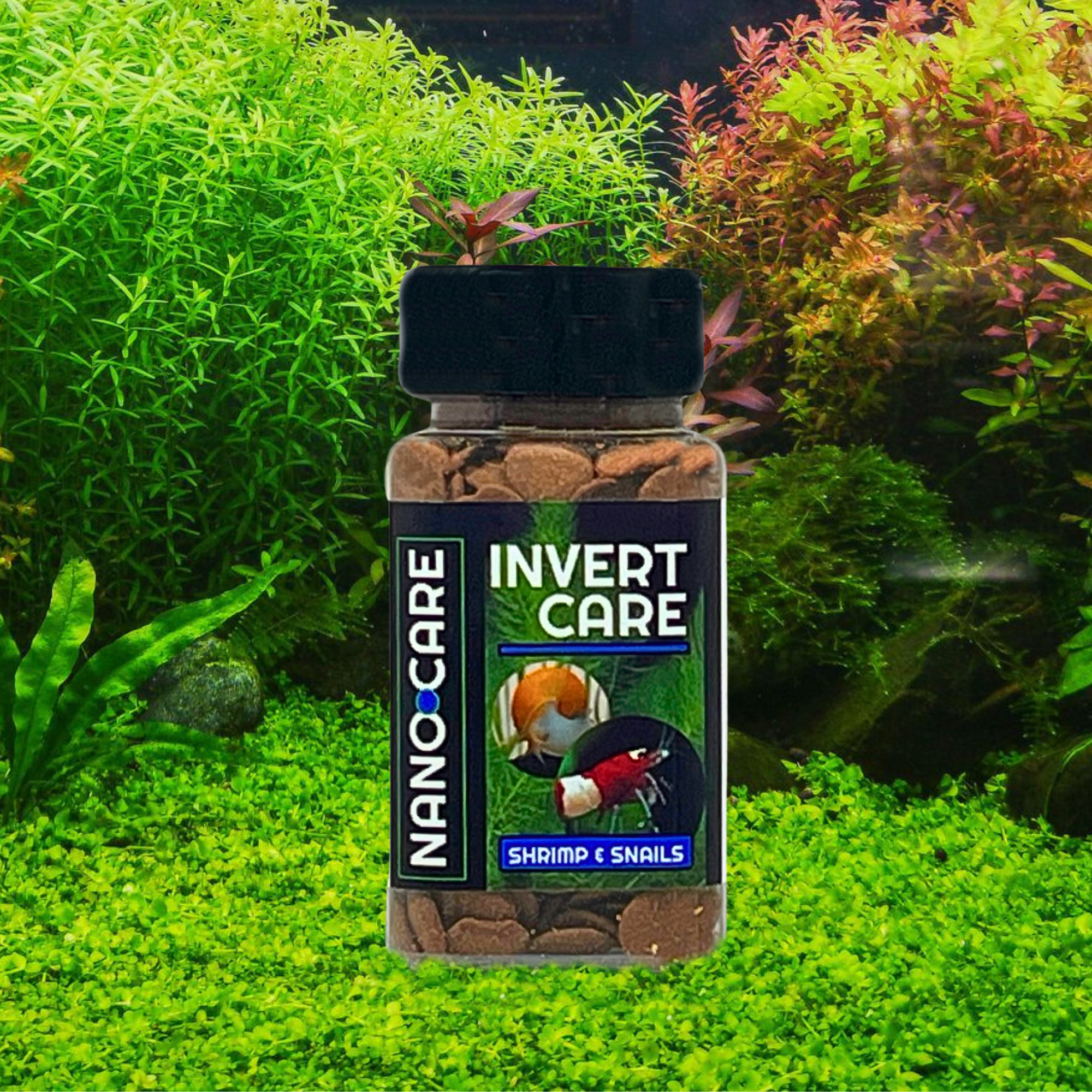 NANOCARE InvertCare